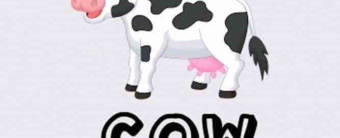 Picture Book With Animals (آموزش نام و صدای حیوانات)