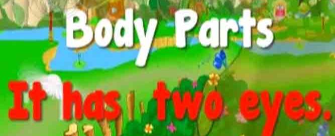 Body-part