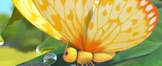Butterfly