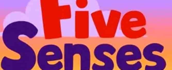 five-sense