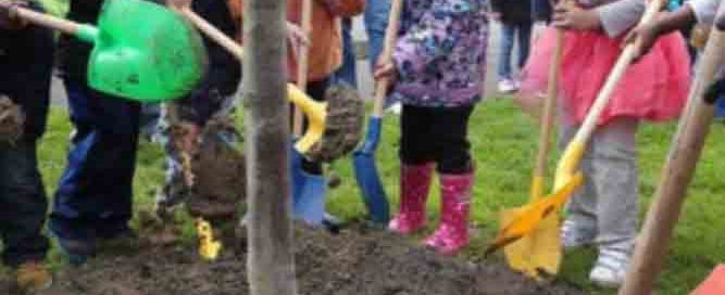 روز درختکاری مبارک - Happy Tree Planting Day