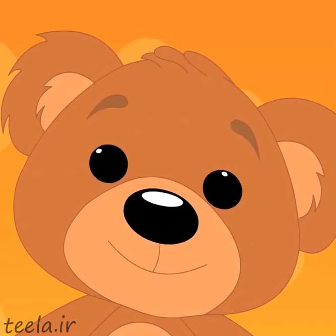 Teddy Bear