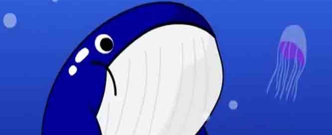 whale