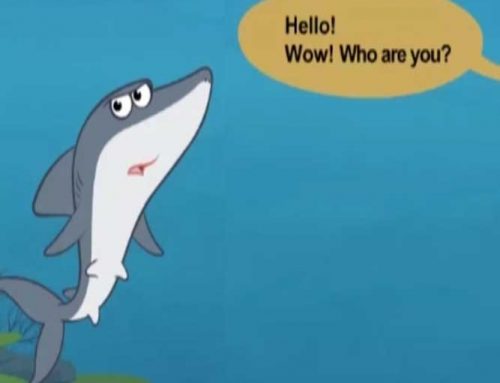 آموزش زبان انگلیسی – جملات ساده – meet the animals 1