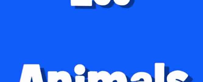Zoo Animals - حیوانات باغ وحش
