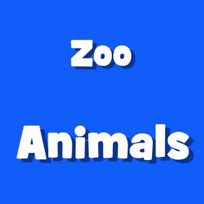Zoo Animals - حیوانات باغ وحش
