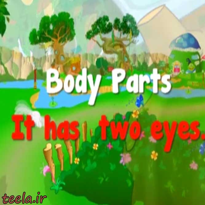 اعضای-بدن---body-part